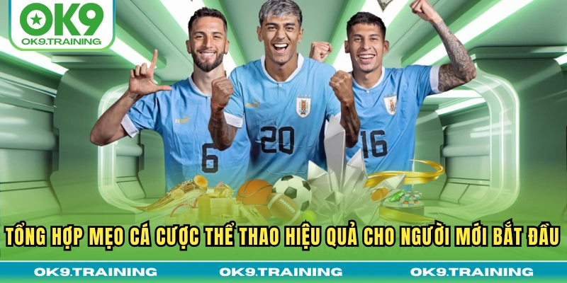 Tổng Hợp Mẹo Cá Cược Thể Thao Hiệu Quả Cho Người Mới Bắt Đầu 17 Tổng Hợp Mẹo Cá Cược Thể Thao Hiệu Quả Cho Người Mới Bắt Đầu