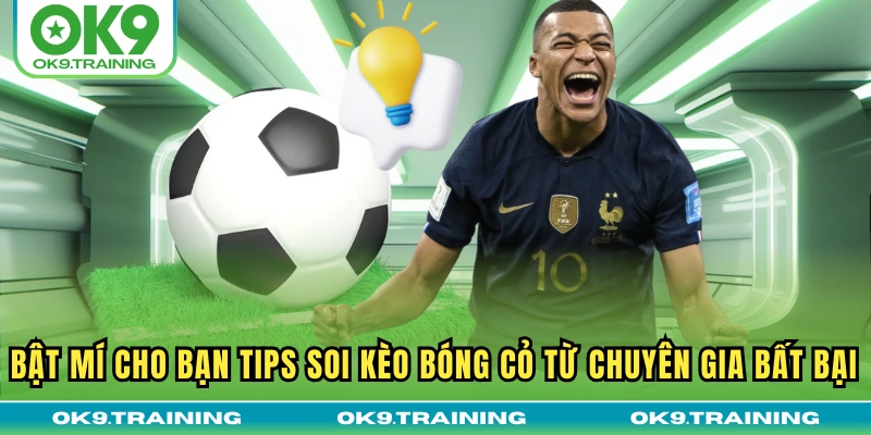 Bật Mí Cho Bạn Tips Soi Kèo Bóng Cỏ Từ Chuyên Gia Bất Bại 16 Bật Mí Cho Bạn Tips Soi Kèo Bóng Cỏ Từ Chuyên Gia Bất Bại